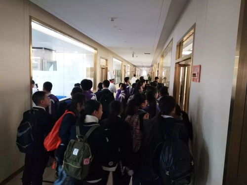 中華小當家 魯能巴蜀中學初2021級社會大課堂的實踐與收獲